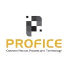 Profice Consulting Ltd